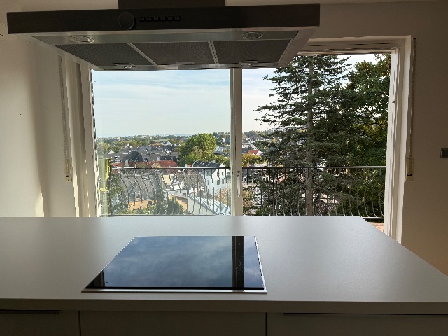 House with a View with a/c and large side by side fridge, Dotzheim